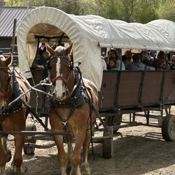 Bar T 5 Covered Wagon Cookout and Western Show - Horse Drawn Covered Wagons