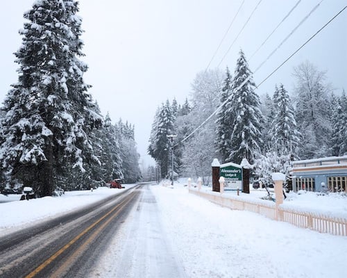 Alexander's Lodge At Mt Rainier by null