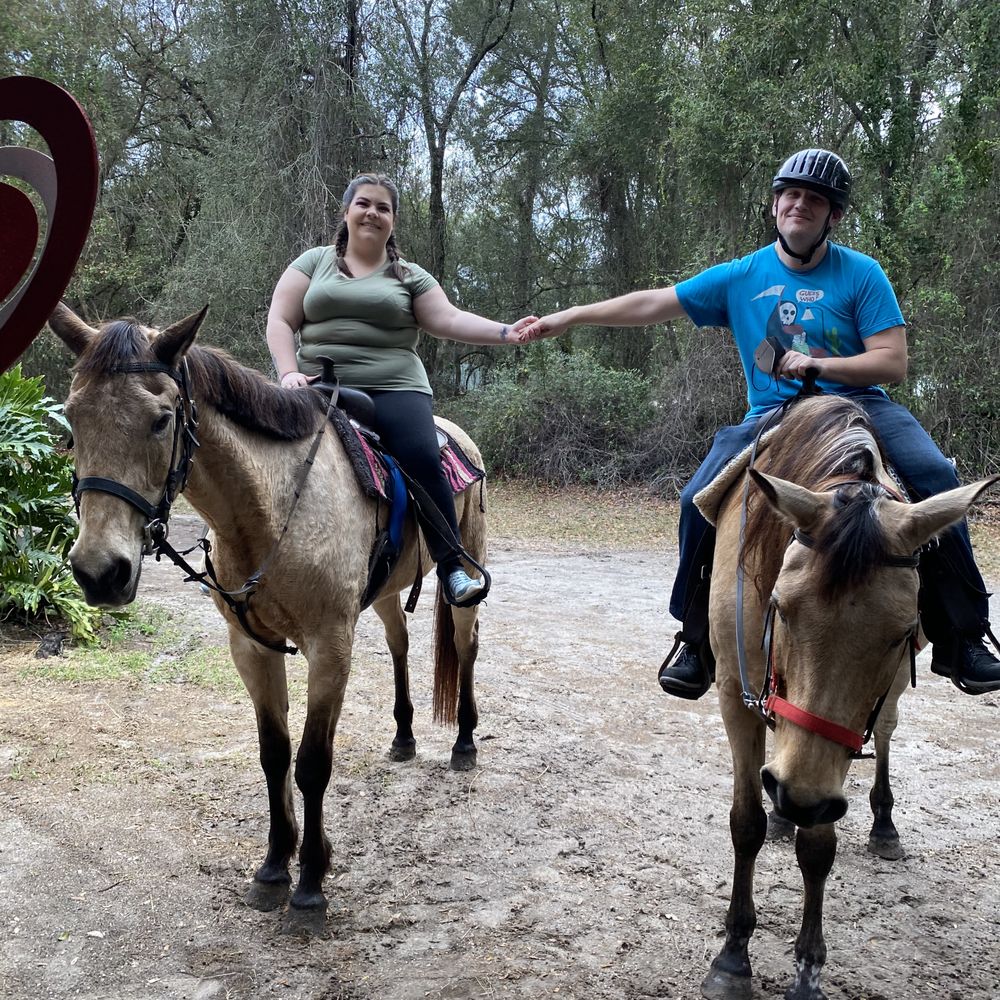 Equestrian Quest Stables - Horseback Riding Near Me - Geneva, Florida Equestrian Quest Stables - Horseback Riding Near Me - Geneva, Florida