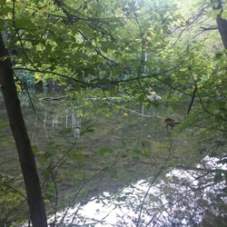 Little Juniata Natural Area - A River Runs Through It