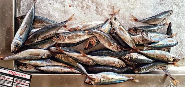 Mercado dos Lavradores (farmers' market) by null