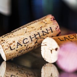 Lachini Vineyards