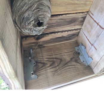 Mike & Sons Pest Service - Bee hive 3 boards away from the corner of my deck that joins to the pool. - Pest Control Near Me - Slingerlands, New York Mike & Sons Pest Service - Bee hive 3 boards away from the corner of my deck that joins to the pool. - Pest Control Near Me - Slingerlands, New York