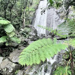 La Coca Falls