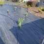 Photo of Garcia Landscaping