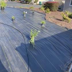 Garcia Landscaping - New weed barrier with irrigation, plants and bark