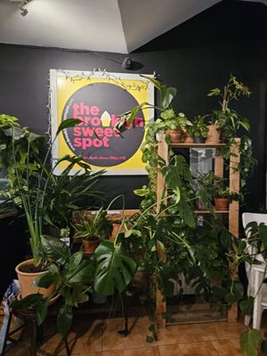 The Brooklyn Sweet Spot by null