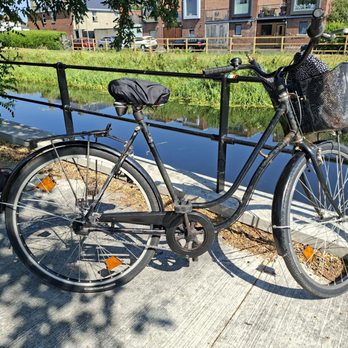 Bee Cycles - Bikes Near Me - Dublin, D Bee Cycles - Bikes Near Me - Dublin, D