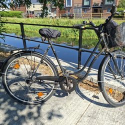 Bee Cycles