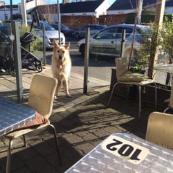 Cafe du Journal - Outdoor area is dog friendly