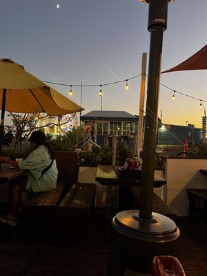 The Albright by null