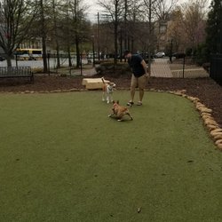 Atlantic Station Dog Park