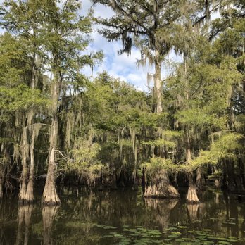 Captain Ron's Swamp Tours - Boat Tours Near Me Captain Ron's Swamp Tours - Boat Tours Near Me