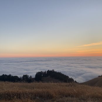Mount Tamalpais State Park - Parks Near Me - Mill Valley, California Mount Tamalpais State Park - Parks Near Me - Mill Valley, California