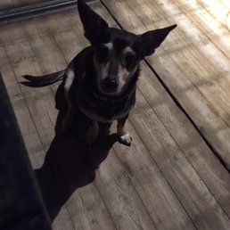 Ella!