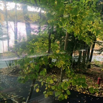 Bow Paving - a fire hydrant surrounded by leaves - General Contractors Near Me - Bow, New Hampshire
