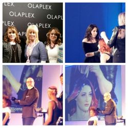 Shear Creations - Education every year is important  to us !!!