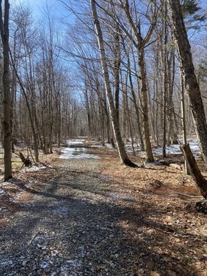 Mount Greylock State Reservation by null