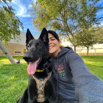 Pawparazzi Pet Resort - Pet Training Near Me - Los Angeles, California Pawparazzi Pet Resort - Pet Training Near Me - Los Angeles, California