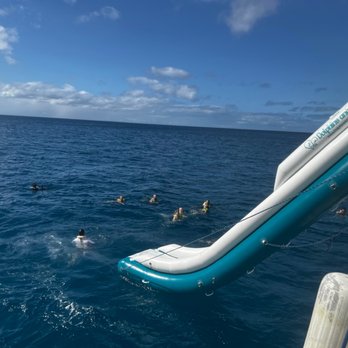 Dolphins and You - Boat slide - Boat Charters Near Me - Honolulu, Hawaii Dolphins and You - Boat slide - Boat Charters Near Me - Honolulu, Hawaii