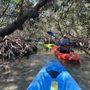 Photo of Sarasota Paddleboard Company