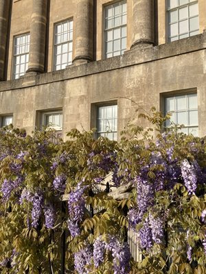 The Royal Crescent by null
