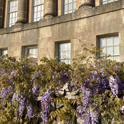The Royal Crescent