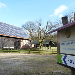 Segeberger Forst