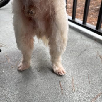 What's Up Dog - Pet Stores Near Me - Miramar Beach, Florida What's Up Dog - Pet Stores Near Me - Miramar Beach, Florida