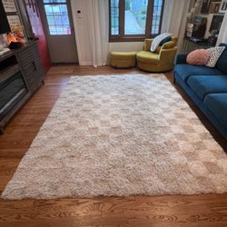 Adelman Carpet & Furniture Cleaning - Before (you can tell which part is usually under the couch!)