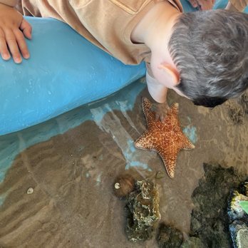 Florida Keys Aquarium Encounters - Aquariums Near Me - Marathon, Florida