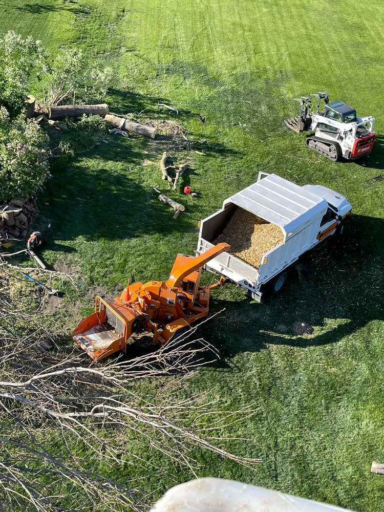 Dan Sherman Enterprises - tree service in Alburnett, IA