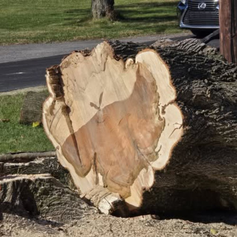 Mountain View Property Maintenance - tree service in Dauphin, PA