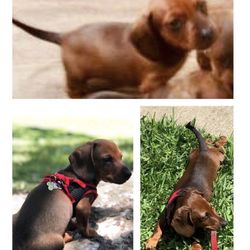 Animal Care At Twin Lakes Center