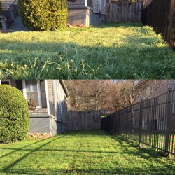 Yard Dogs Landscaping and Lawn Care - What a difference a good cut and trim can make!