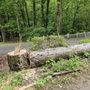 Photo of Skipper's Tree Service