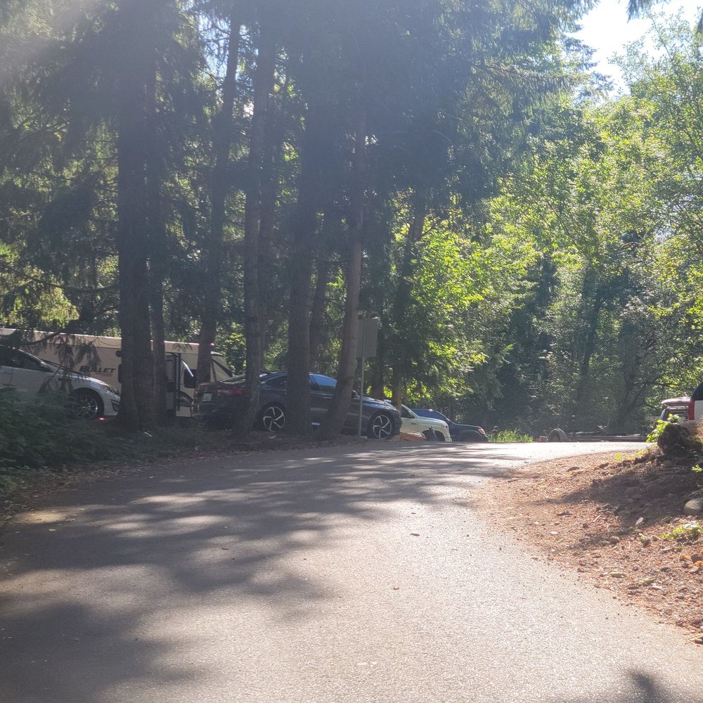 Mayfield Lake Park - Roads near the campsite area - Parks Near Me - Mossyrock, Washington