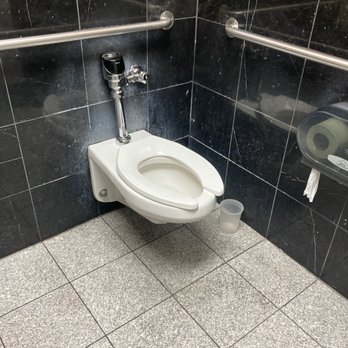 The India Garden Restaurant - a toilet in a public restroom - Indian Near Me - Mishawaka, Indiana