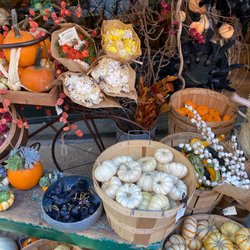 Rouvalis Flowers & Garden - Fall arrangements