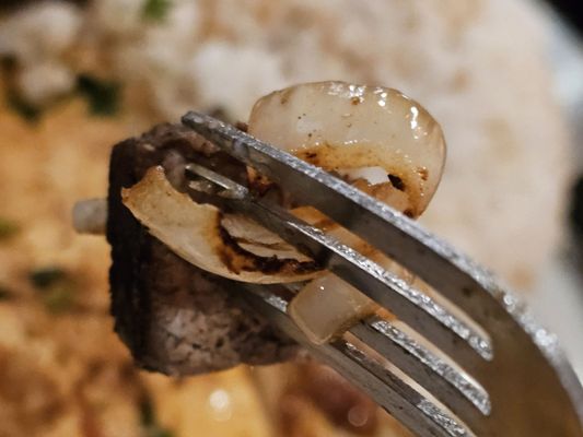 Cedars Lebanese Restaurant