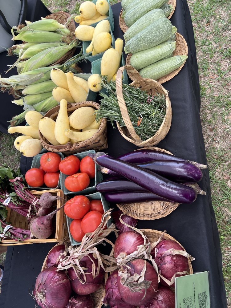 SEMINOLE HEIGHTS SUNDAY MARKET Updated June 2024 15 Photos 6111 N