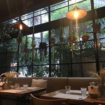 The Wholesome Table - Interior plants - Breakfast & Brunch Near Me - Makati, NCR The Wholesome Table - Interior plants - Breakfast & Brunch Near Me - Makati, NCR
