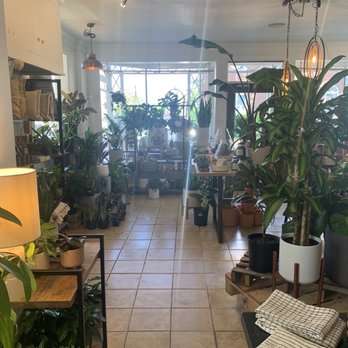 Botanical Dwellings - Nurseries & Gardening Near Me - Culpeper, Virginia