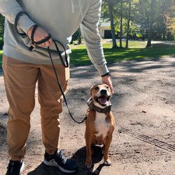West Michigan K9