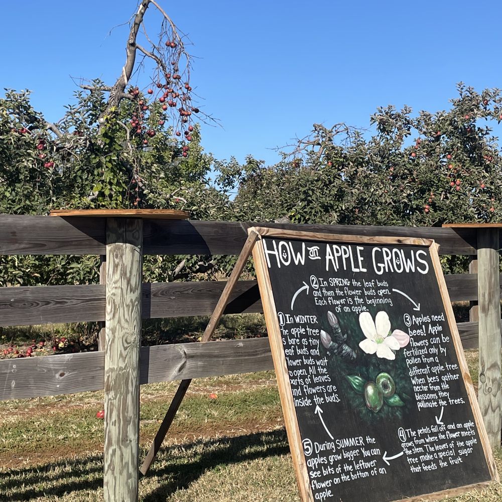 Windy Hill Orchard & Cidery - Cideries Near Me - York, South Carolina Windy Hill Orchard & Cidery - Cideries Near Me - York, South Carolina