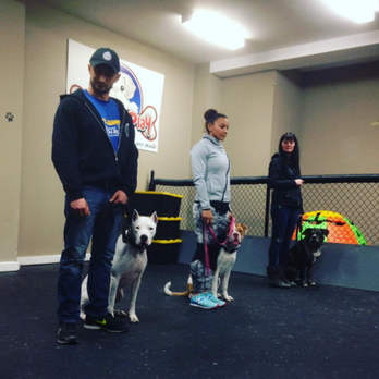 GTA Working Dogs - Pet Training Near Me GTA Working Dogs - Pet Training Near Me