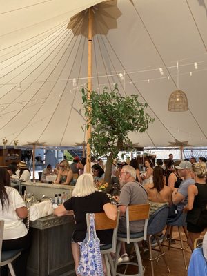 Matunuck Oyster Bar by null