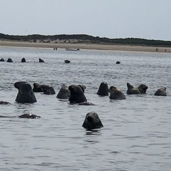Flyers Boat Rentals - So many and so cute - Boating Near Me - Provincetown, Massachusetts Flyers Boat Rentals - So many and so cute - Boating Near Me - Provincetown, Massachusetts