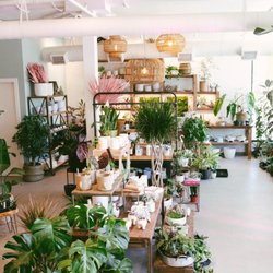 Daphne's Botanicals