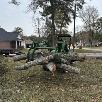 Hernandez Tree Service - Tree Services Near Me
